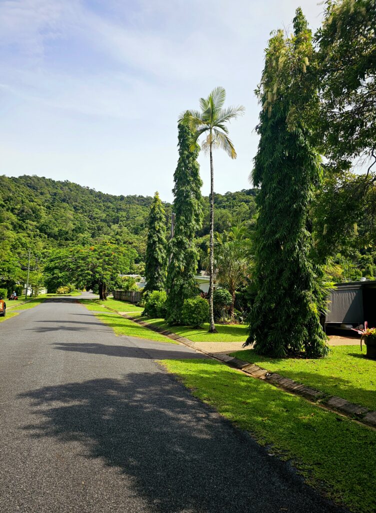 20260117 100448 752x1024