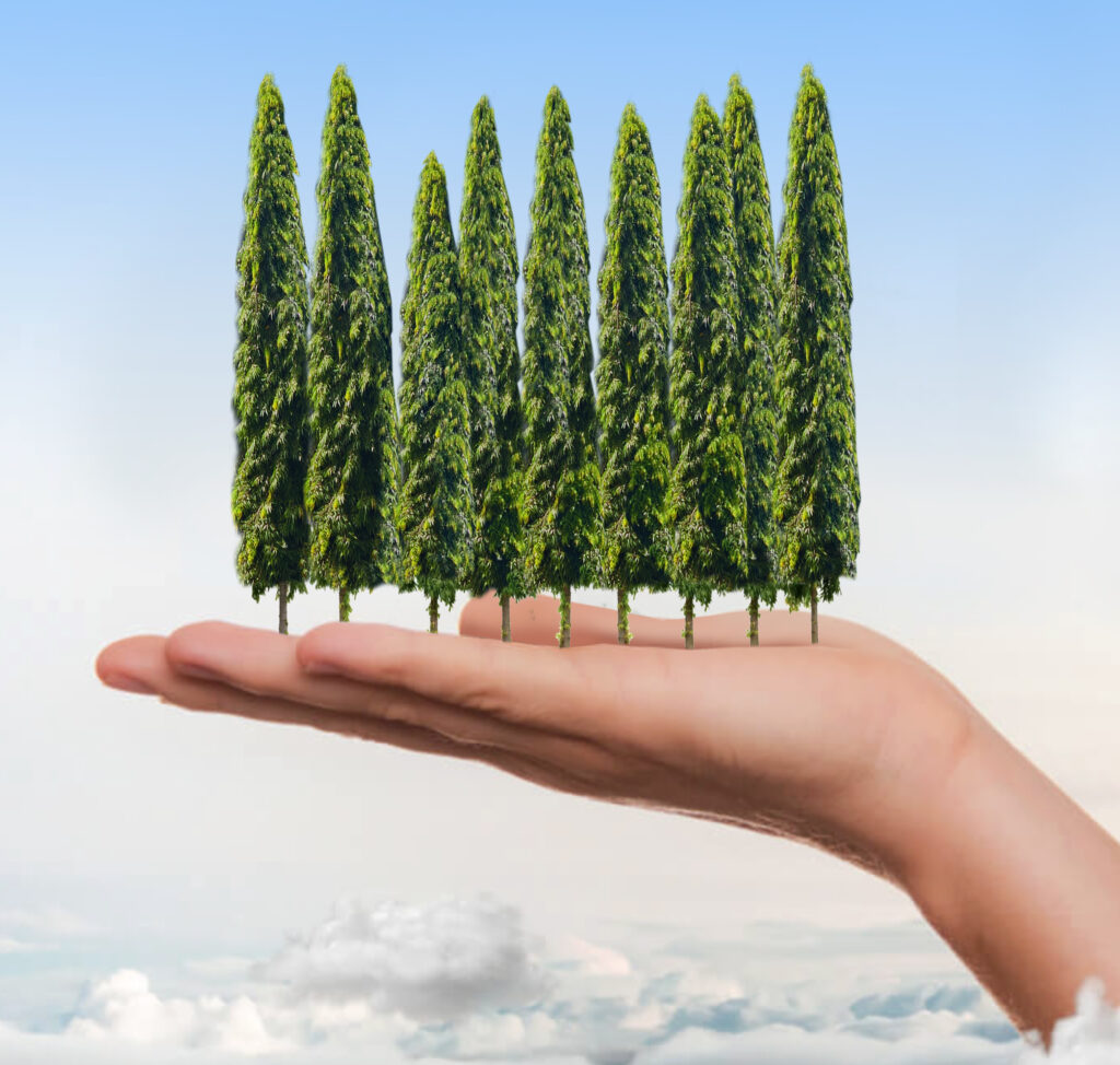 hand trees