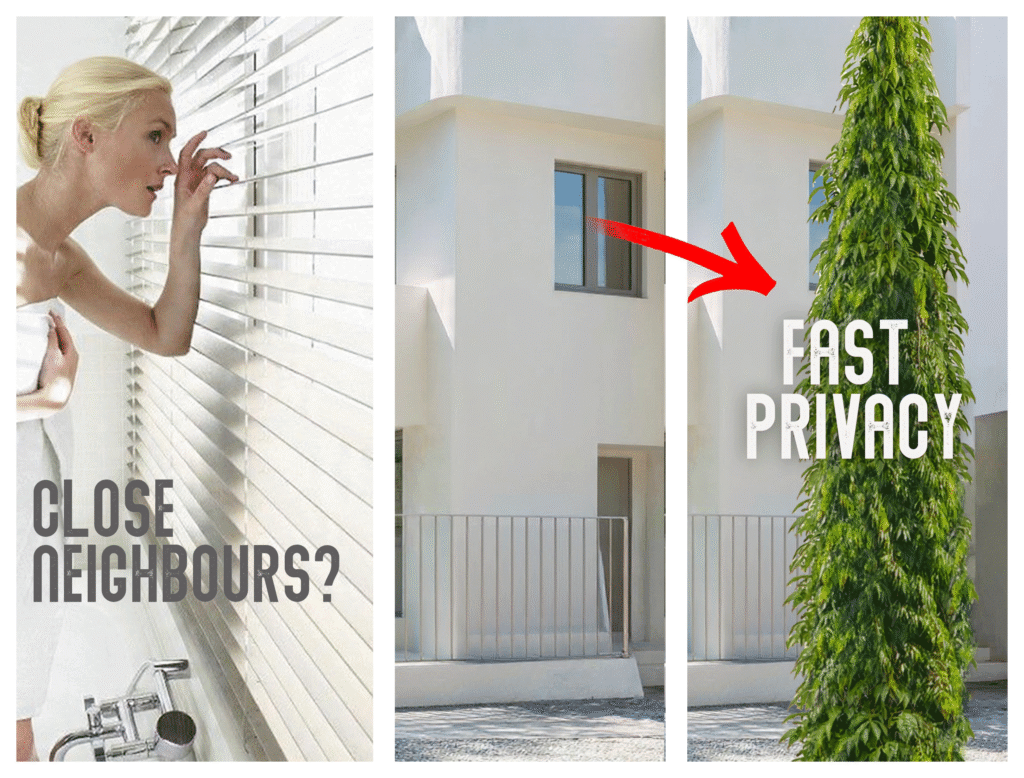 imt promo 0009 fast privacy