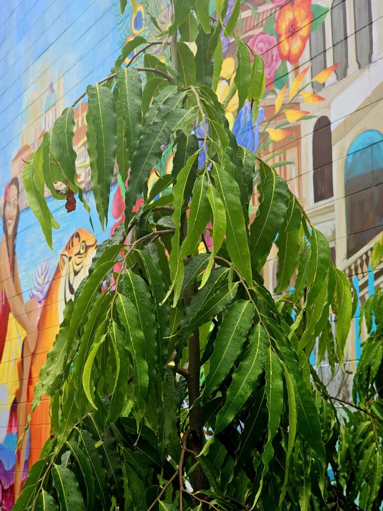 Home 20260110 161401