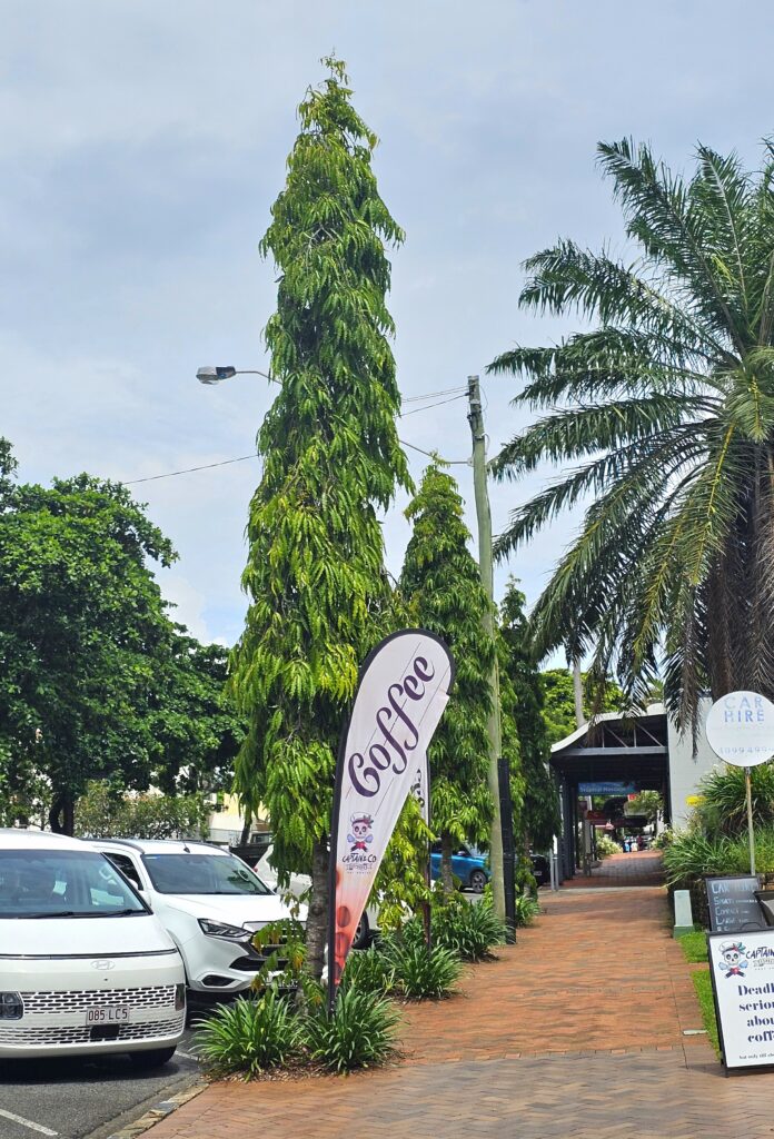 Home 20260128 103928