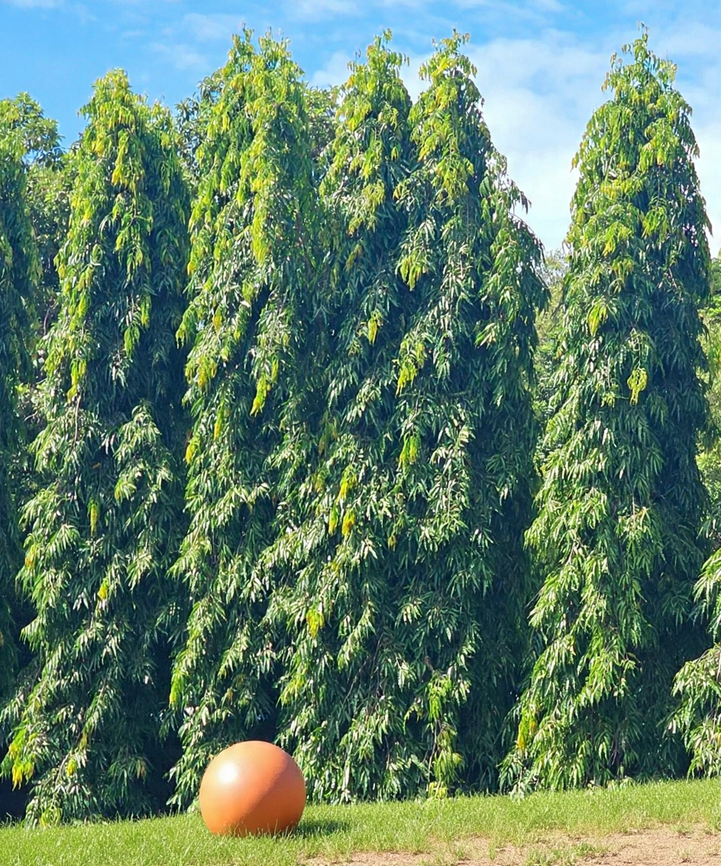 mix these two images together using the ball and t