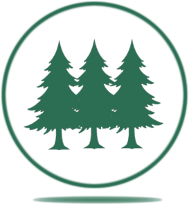 mast 0000 layer 1 copy 2