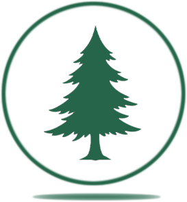 mast 0001 layer 1 copy